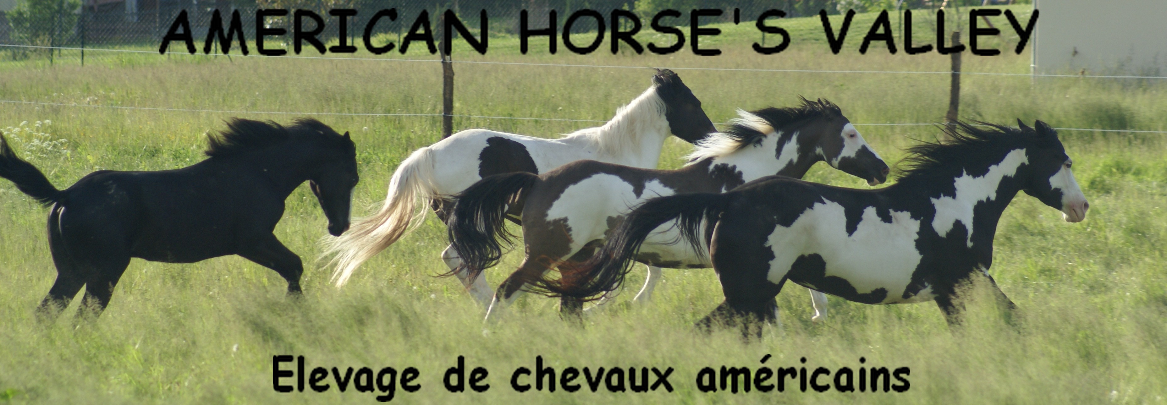 American Horse`s Valley