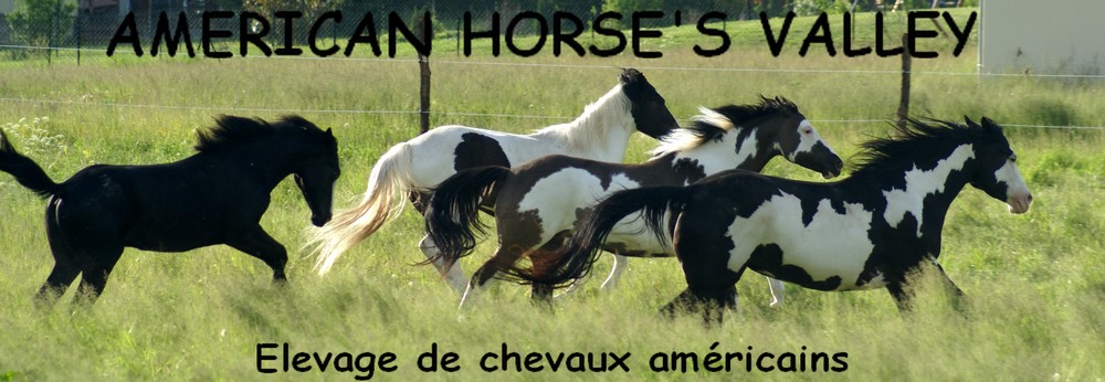 American Horse`s Valley